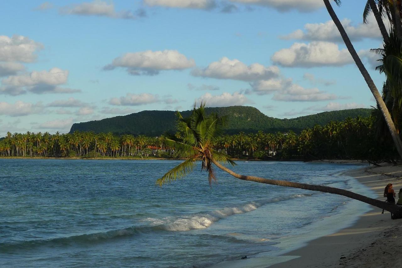 Apart-Hotel Garden Villa Las Galeras Luaran gambar