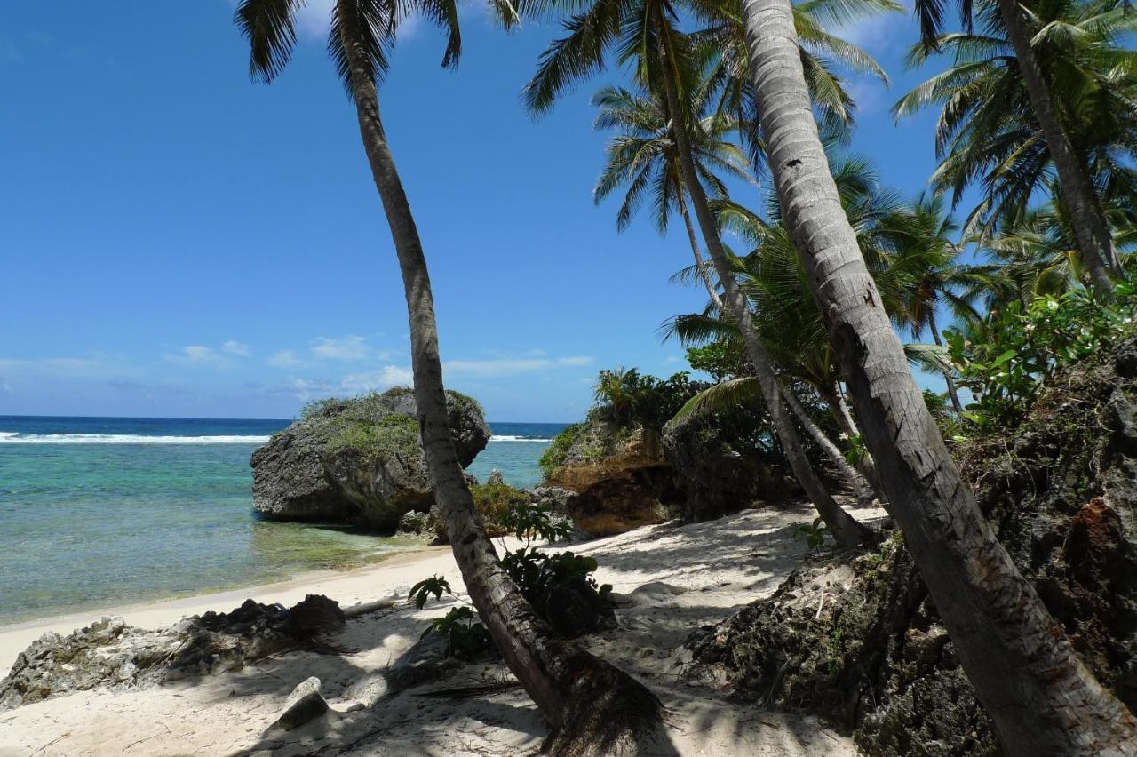 Apart-Hotel Garden Villa Las Galeras Luaran gambar